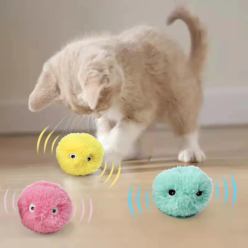 Smart Interactive Catnip Ball Toy – Sound, Training, Plush